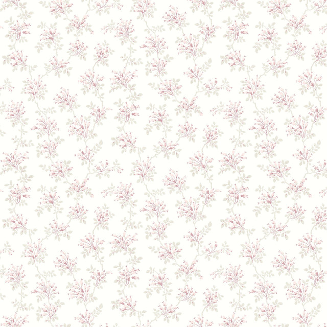 Sofiane Pink Botanical Trail Wallpaper with Country Botanical Vine Motif - Brewster 4072-70038
