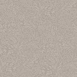 Kristina Grey Botanical Wallpaper with Scandinavian Botanical Pattern - A-Street Prints 4080-92118