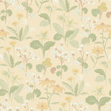 Magdalena Light Yellow Dandelion Wallpaper with Botanical Floral Pattern, Farmhouse Style - A-Street Prints 4080-92135