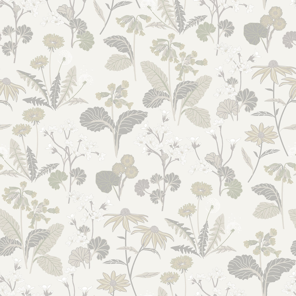 Magdalena Light Grey Dandelion Wallpaper with Botanical Floral Pattern - A-Street Prints 4080-92136