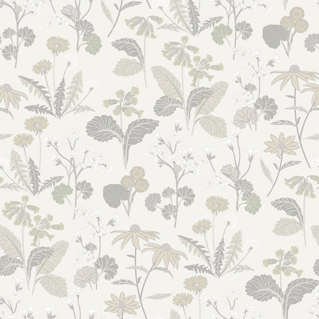 Magdalena Light Grey Dandelion Wallpaper with Botanical Floral Pattern - A-Street Prints 4080-92136