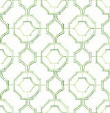 Gallina Green Trellis Wallpaper with Chinoiserie Geometric Lattice - Brewster 4081-26316