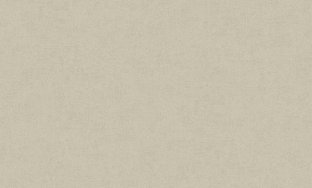 Steno Light Brown Plaster Wallpaper with Distressed Textures, Transitional Style - Advantage 4082-381971