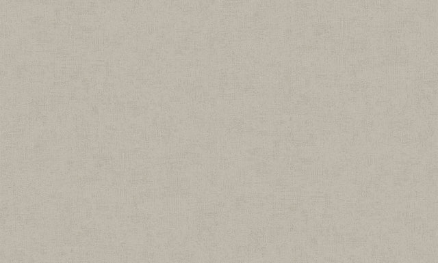 Steno Taupe Plaster Wallpaper with Distressed Textures - Advantage 4082-381976