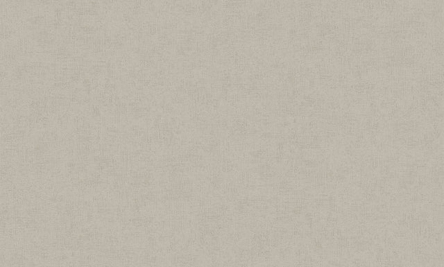 Steno Taupe Plaster Wallpaper with Distressed Textures - Advantage 4082-381976SAM