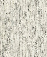 Colm Charcoal Birch Wallpaper with Modern Abstract Botanical Birch Bark Motif - Advantage 4096-554045