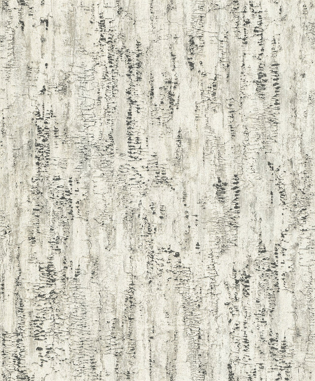 Colm Charcoal Birch Wallpaper with Modern Abstract Botanical Birch Bark Motif - Advantage 4096-554045