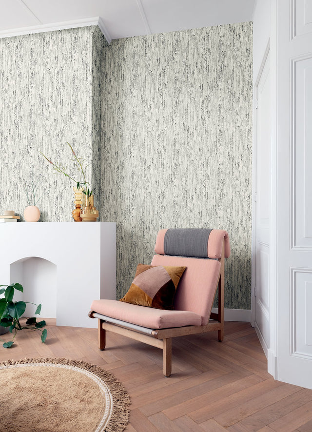 Colm Charcoal Birch Wallpaper with Modern Abstract Botanical Birch Bark Motif - Advantage 4096-554045