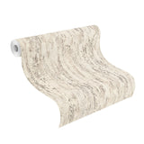 Colm Beige Birch Wallpaper with Modern Botanical Abstract Motif - Advantage 4096-554052