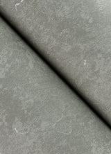 Pliny Light Grey Distressed Texture Wallpaper with Metallic Raised Ink - Brewster 4105-86647