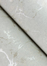 Mahina Silver Floral Vine Wallpaper with Metallic Botanical Feature Wall Design - A-Street Prints 4105-86651