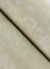 Haliya Champagne Metallic Plaster Wallpaper with Abstract Plaster Effects, Modern Unpasted Non Woven - A-Street Prints 4105-86659