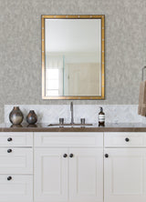 Haliya Silver Metallic Plaster Wallpaper with Abstract Plaster Effects - A-Street Prints 4105-86661