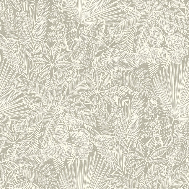 Vita Light Brown Botanical Wallpaper with Tropical Botanical Motif - A?Street Prints 4120-26800