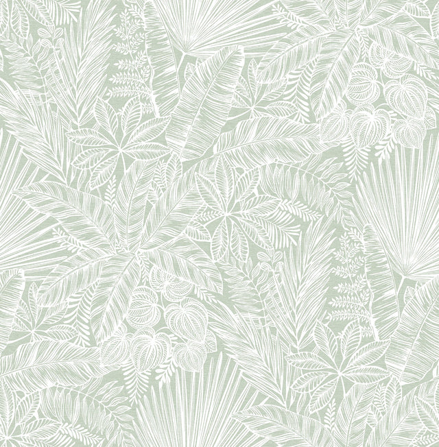 Vita Sage Botanical Wallpaper with Tropical Botanical Outline on Faux Linen - A-Street Prints 4120-26803