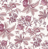 Cecilia Purple Fruit Wallpaper with Botanical Fruit Pattern - A-Street Prints 4120-26815