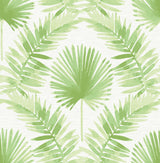 Calla Green Painted Palm Wallpaper with Botanical Coastal Style - A-Street Prints 4121-26911