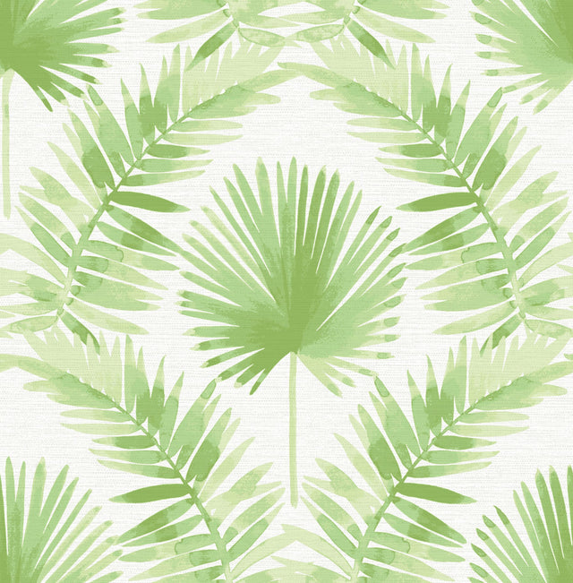 Calla Green Painted Palm Wallpaper with Botanical Coastal Style - A-Street Prints 4121-26911