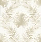 Calla Taupe Painted Palm Wallpaper with Botanical Coastal Fan Palm Pattern - A-Street Prints 4121-26913
