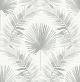 Calla Grey Painted Palm Wallpaper with Coastal Botanical Motif - A-Street Prints 4121-26915