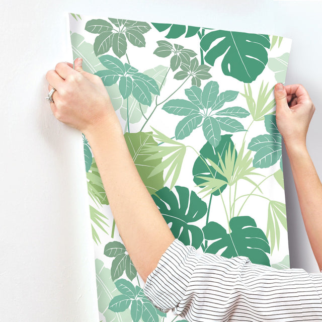 Medellin Green Rainforest Floor Wallpaper with Botanical Bohemian Motif - A-Street Prints 4122-72409