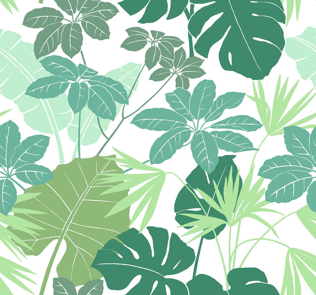 Medellin Green Rainforest Floor Wallpaper with Botanical Bohemian Motif - A-Street Prints 4122-72409
