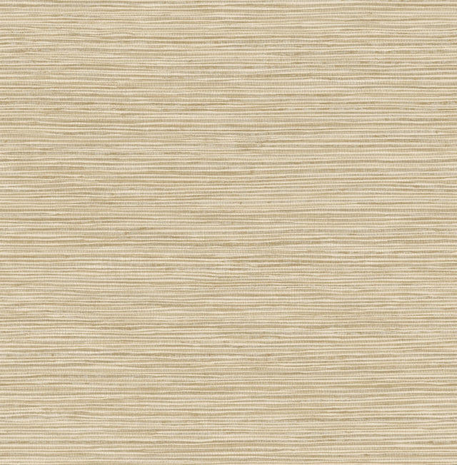 Alton Wheat Faux Grasscloth Wallpaper with Modern Graphics Texture - Advantage 4125-26720