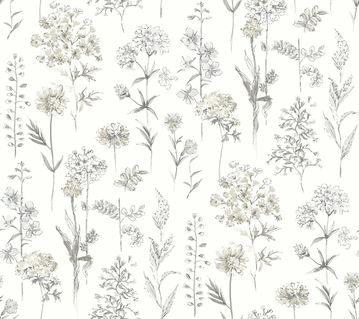 Bergamot Light Grey Wildflower Wallpaper with Botanical Watercolor Floral Motif - Chesapeake 4134-72501