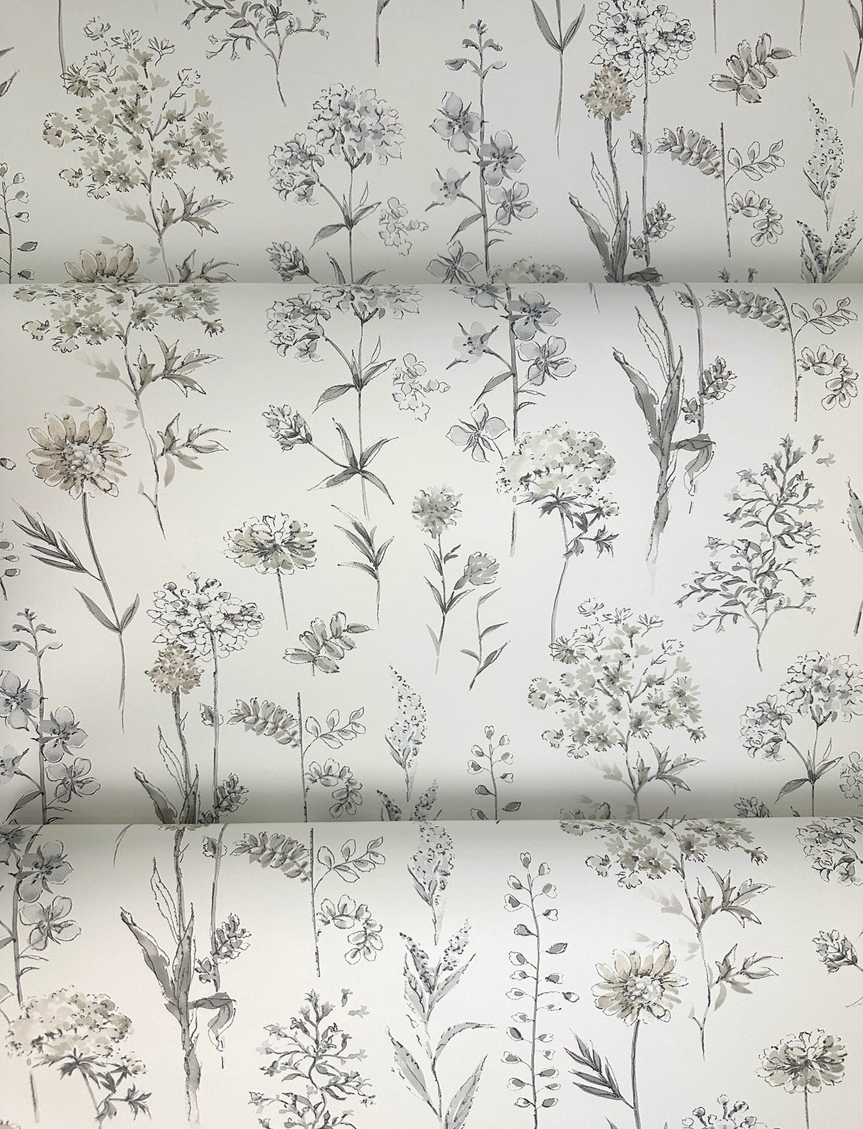 Bergamot Light Grey Wildflower Wallpaper with Botanical Watercolor Floral Motif - Chesapeake 4134-72501