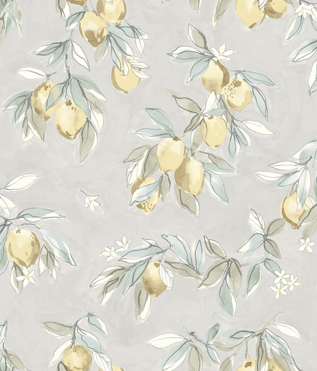 Lemonade Grey Citrus Wallpaper with Farmhouse Fruit Motif - Chesapeake 4134-72507