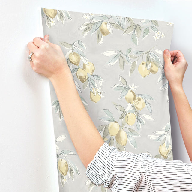 Lemonade Grey Citrus Wallpaper with Farmhouse Fruit Motif - Chesapeake 4134-72507