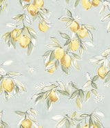 Lemonade Aqua Citrus Wallpaper with Farmhouse Fruit Motif - Chesapeake 4134-72508