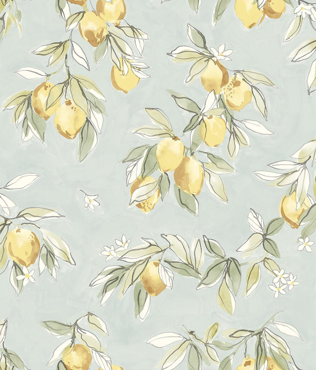 Lemonade Aqua Citrus Wallpaper with Farmhouse Fruit Motif - Chesapeake 4134-72508