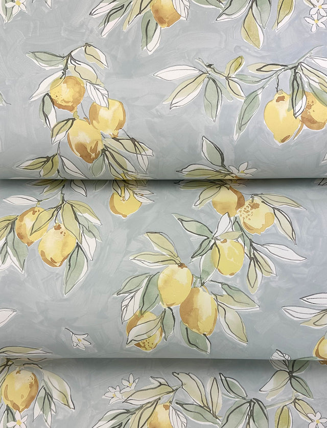 Lemonade Aqua Citrus Wallpaper with Farmhouse Fruit Motif - Chesapeake 4134-72508