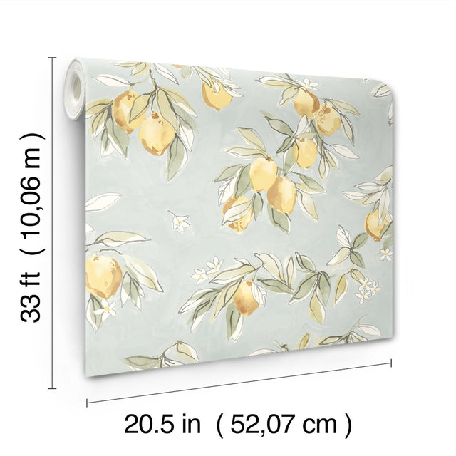 Lemonade Aqua Citrus Wallpaper with Farmhouse Fruit Motif - Chesapeake 4134-72508
