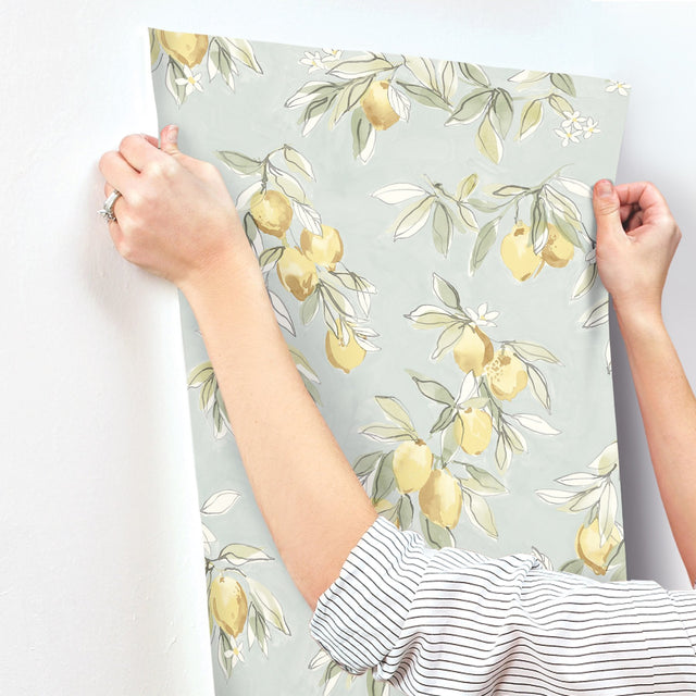 Lemonade Aqua Citrus Wallpaper with Farmhouse Fruit Motif - Chesapeake 4134-72508