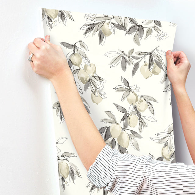 Lemonade Charcoal Citrus Wallpaper with Farmhouse Fruit Botanical Pattern - Chesapeake 4134-72509