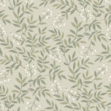 Senna Green Budding Vines Wallpaper with Botanical Vine Pattern, Farmhouse Style - Chesapeake 4134-72523
