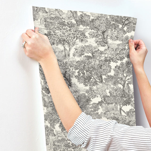 Spinney Black Toile Wallpaper with Botanical Trees Motif - Chesapeake 4134-72558