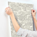 Spinney Grey Toile Wallpaper with Traditional Trees Motif - Chesapeake 4134-72560