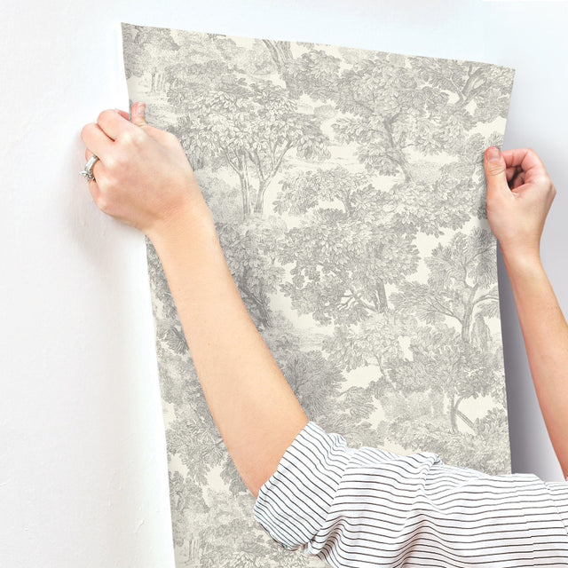Spinney Grey Toile Wallpaper with Traditional Trees Motif - Chesapeake 4134-72560