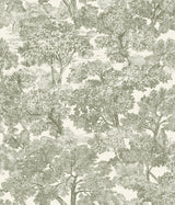 Spinney Green Toile Wallpaper with Traditional Trees Motif - Chesapeake 4134-72561