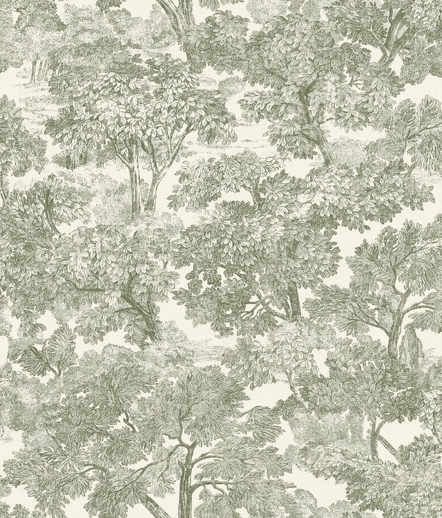 Spinney Green Toile Wallpaper with Traditional Trees Motif - Chesapeake 4134-72561