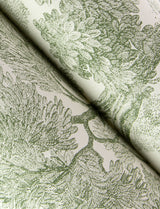 Spinney Green Toile Wallpaper with Traditional Trees Motif - Chesapeake 4134-72561