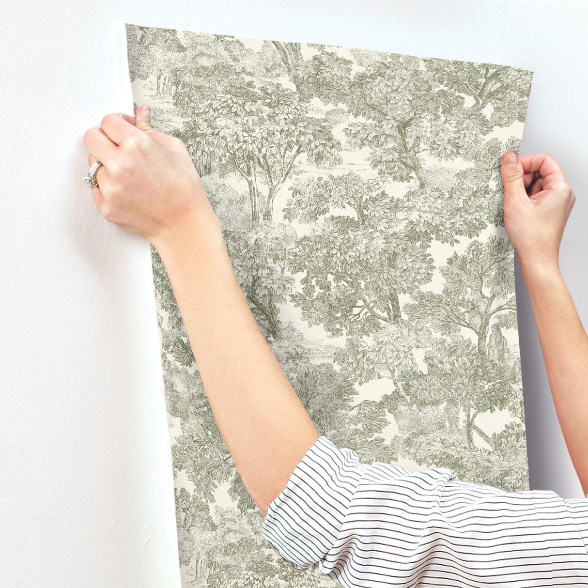 Spinney Green Toile Wallpaper with Traditional Trees Motif - Chesapeake 4134-72561