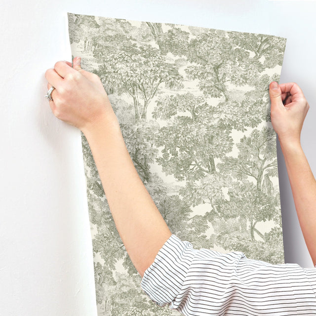 Spinney Green Toile Wallpaper with Traditional Trees Motif - Chesapeake 4134-72561