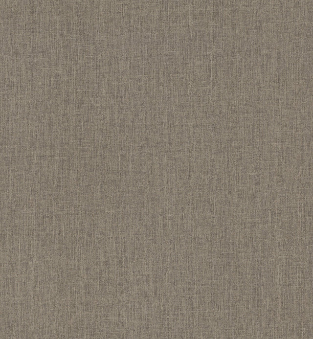 Cromie Brown Texture Wallpaper with Raised Ink Vinyl on Non Woven, Transitional Graphics Pattern - A-Street Prints 4135-6905