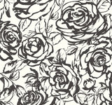 Nelda Black Rose Wallpaper with Modern Botanical Rose Pattern - A-Street Prints 4135-72707