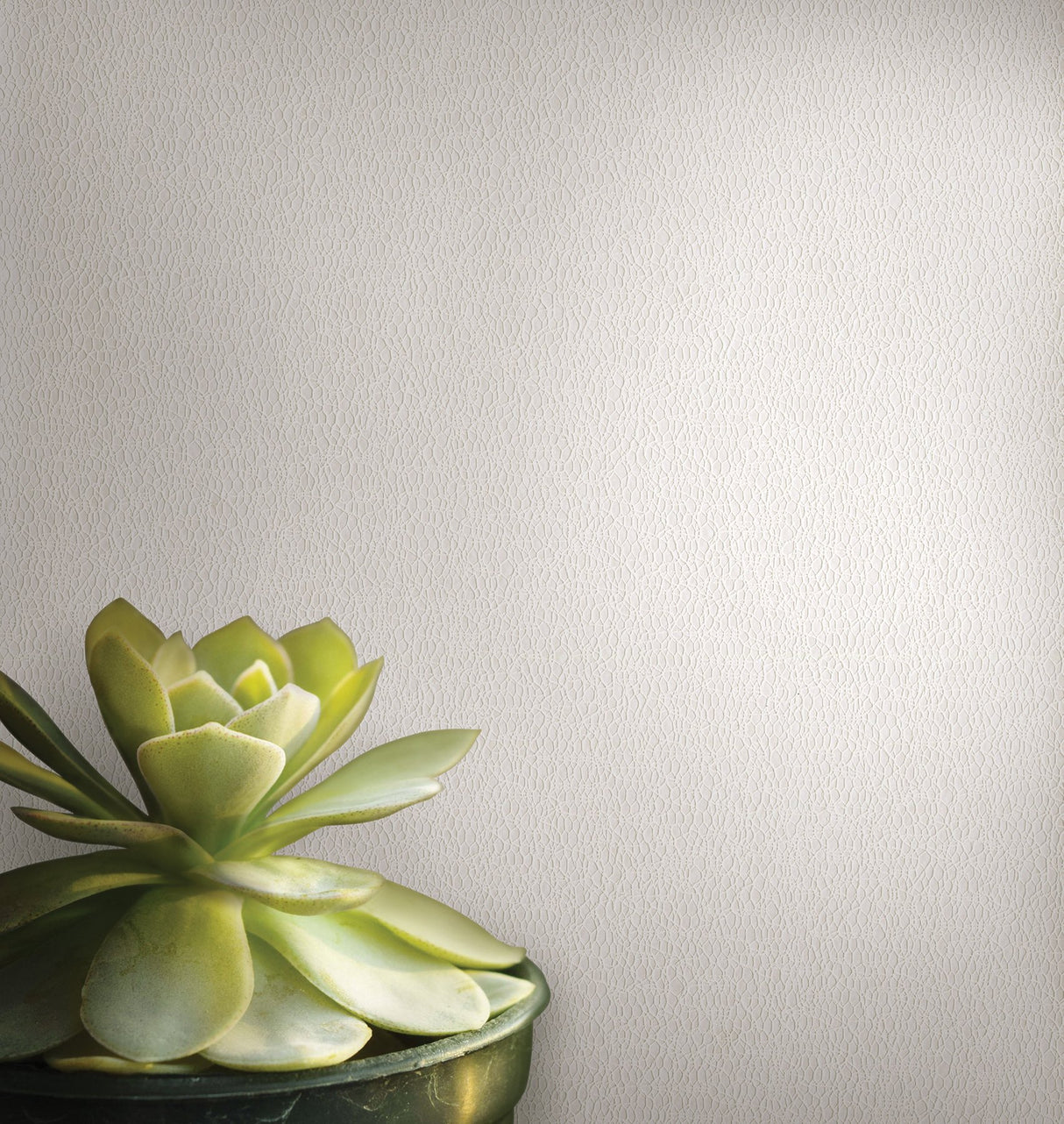 Spritz Platinum Dainty Geometric Wallpaper with Glam Abstract Texture - Warner 4140-3726