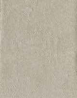 Radiator Pewter Plaster Texture Wallpaper with Metallic Textured Finish - Warner 4140-3746